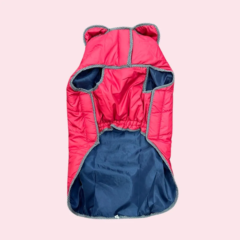Dog Jacket