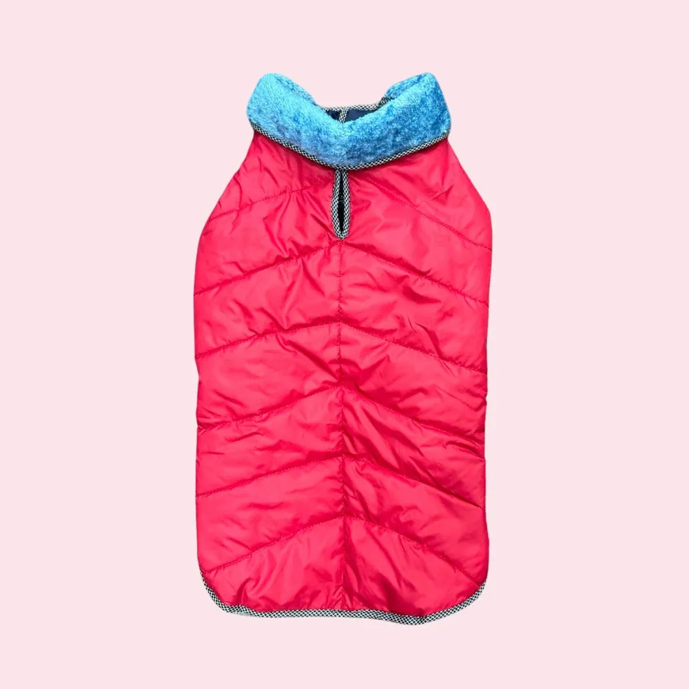 Dog Jacket