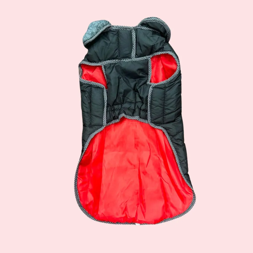 Dog Jacket