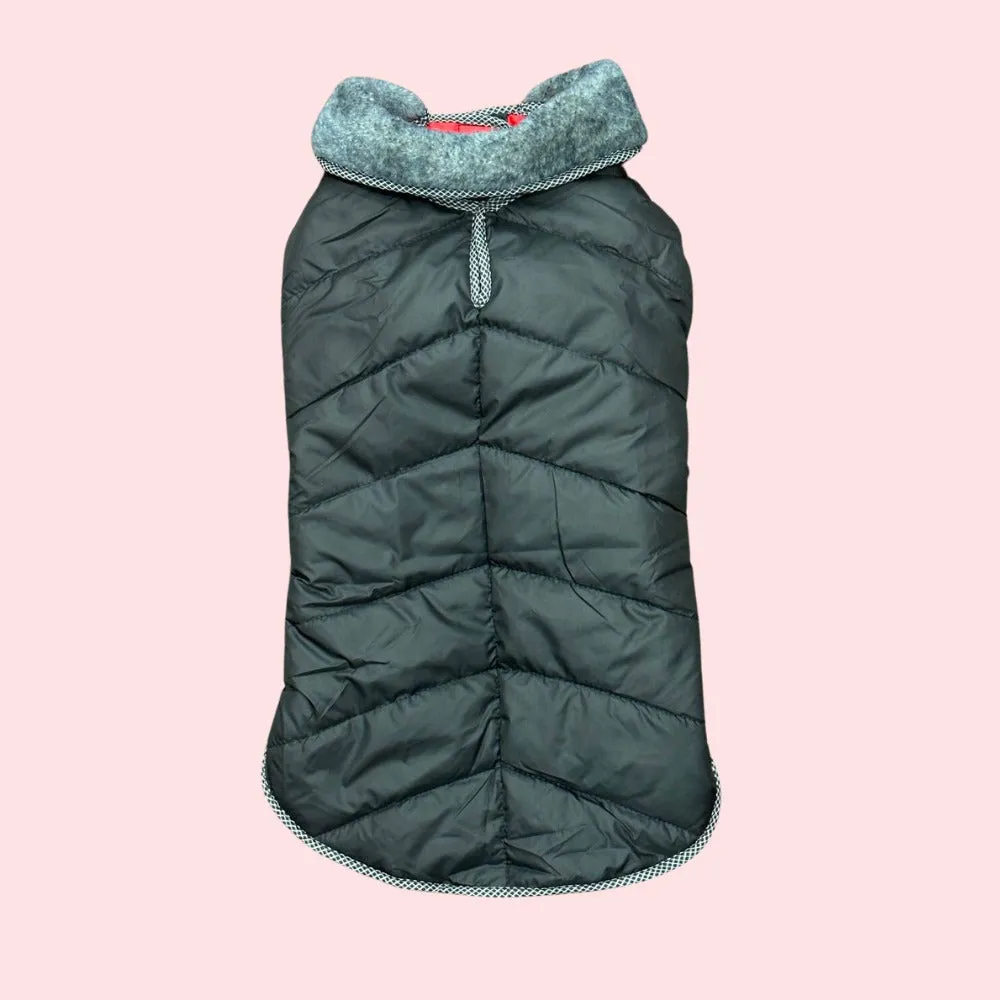 Dog Jacket
