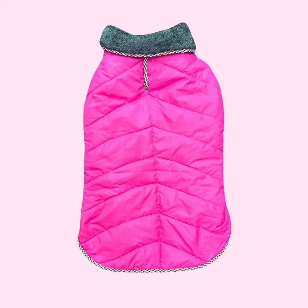 Dog Jacket