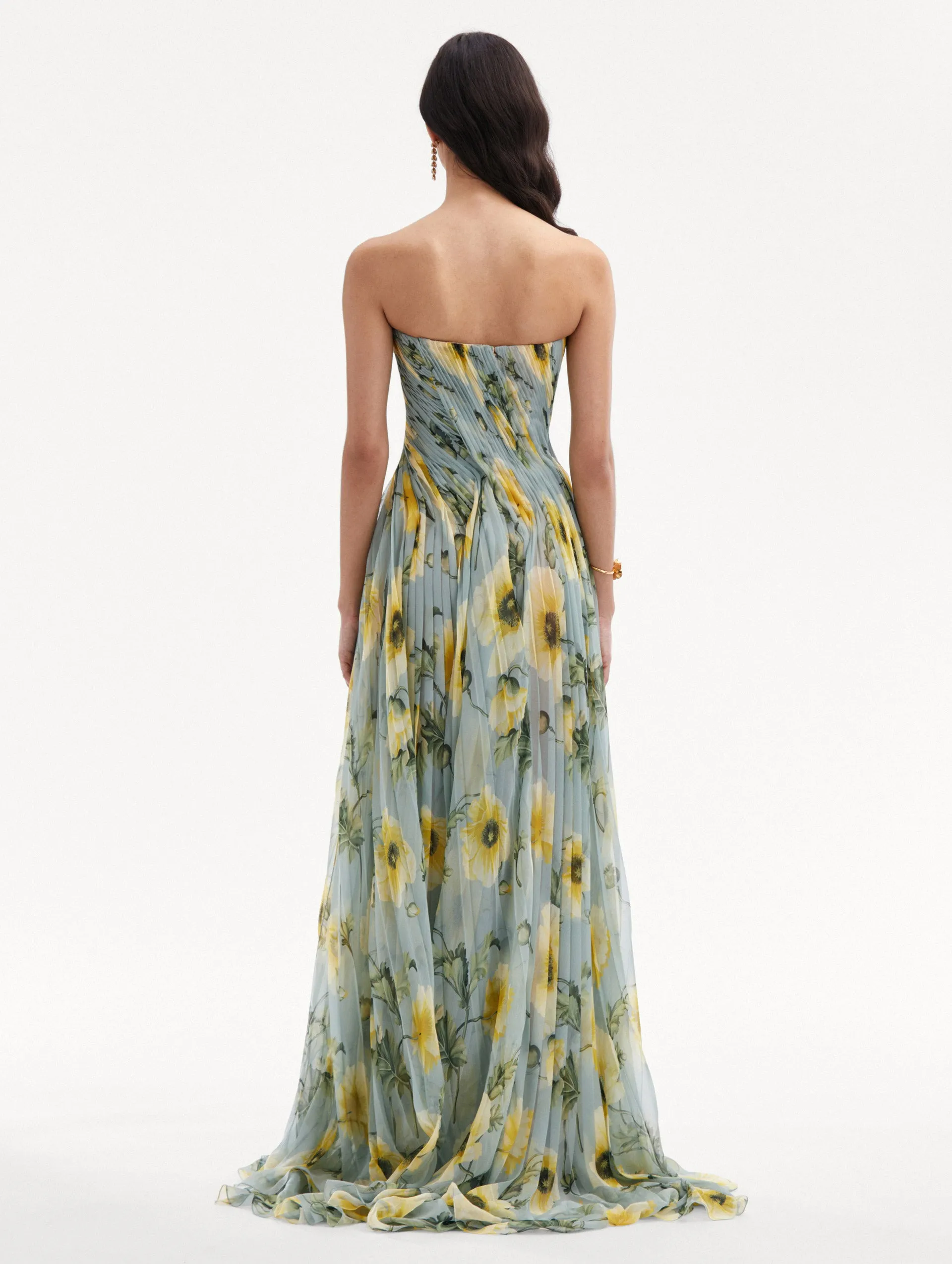 Poppy Threadwork Chiffon Gown